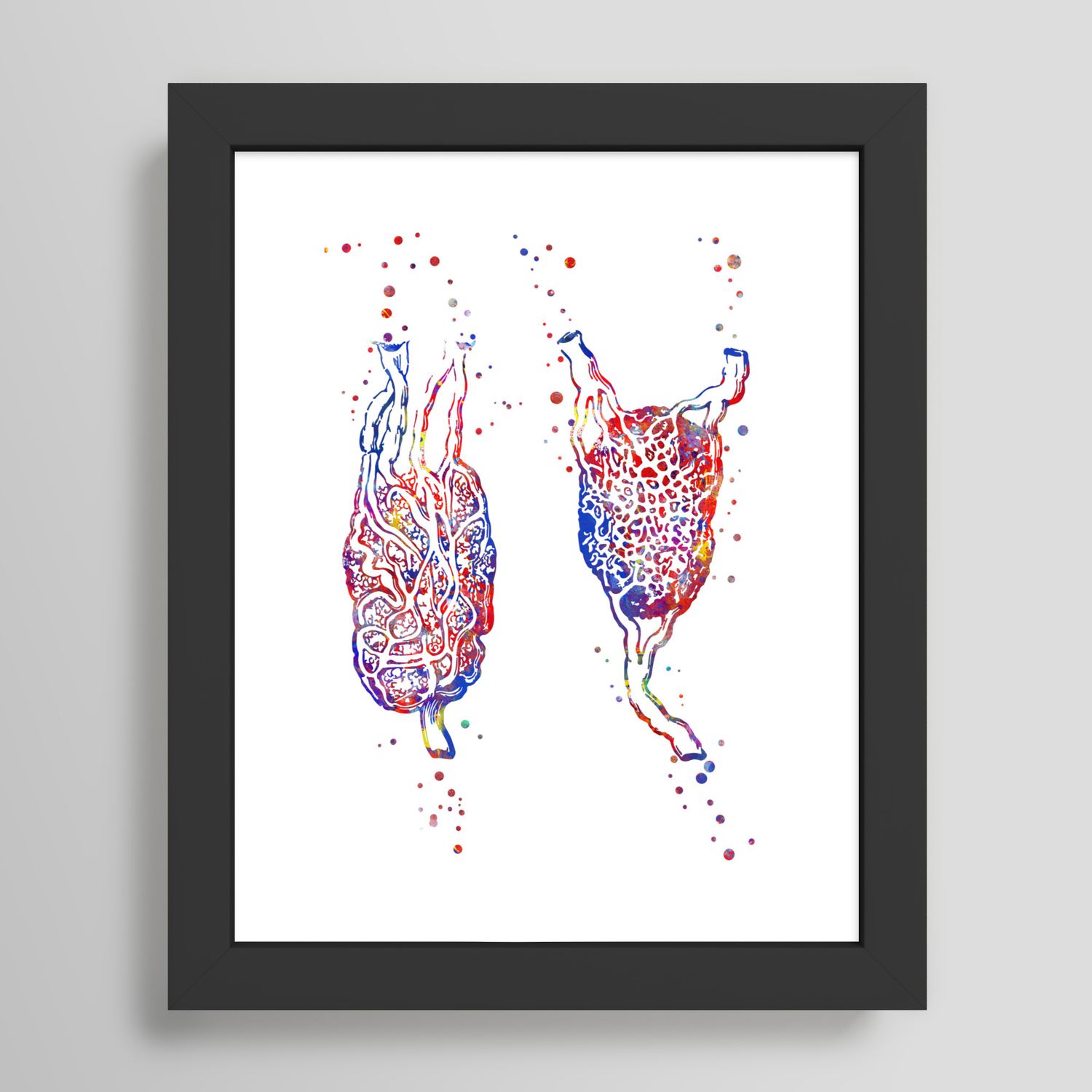 Lymph node lymph node structure lymph node art watercolor lymph node the anatomical structure of the lymph node lymph node poster