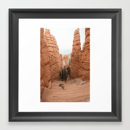 Bryce Canyon Framed Art Print