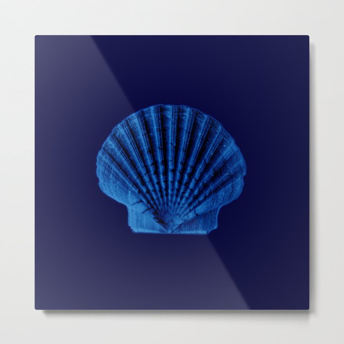 Malibu Blu Mood -Shell Metal Print