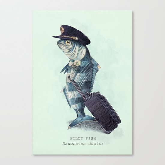 The Pilot (colour option) Canvas Print