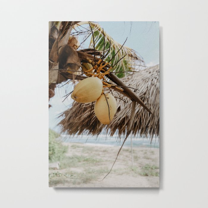 Coconut Palm Love Metal Print