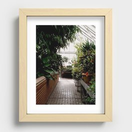 Biltmore Greenhouse Recessed Framed Print