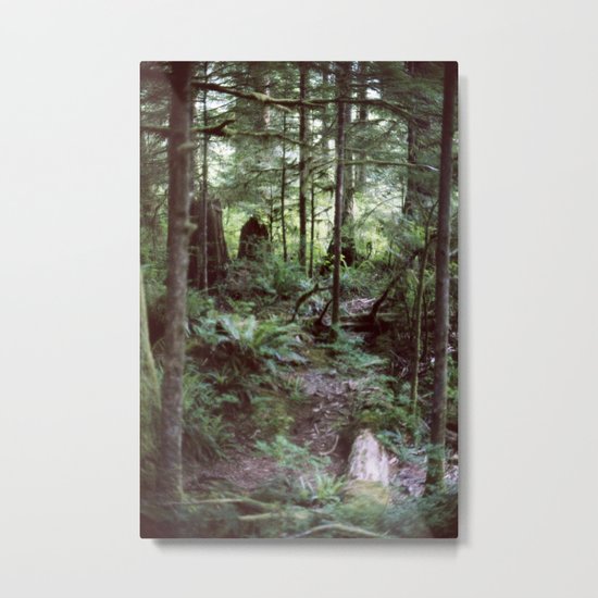 Vancouver Island Rainforest Metal Print