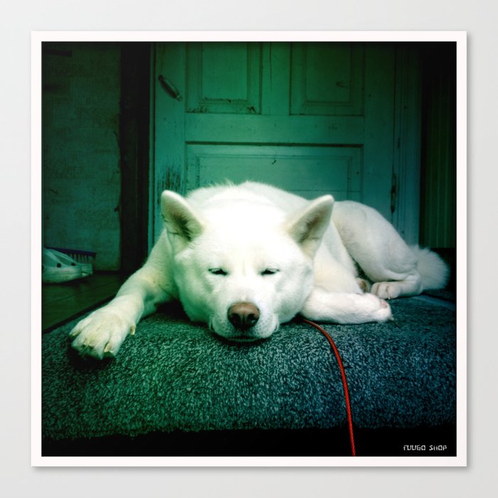 Guard of the cottage pic1 Canvas Print