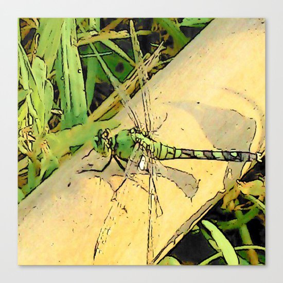 Dragonfly Delight Canvas Print