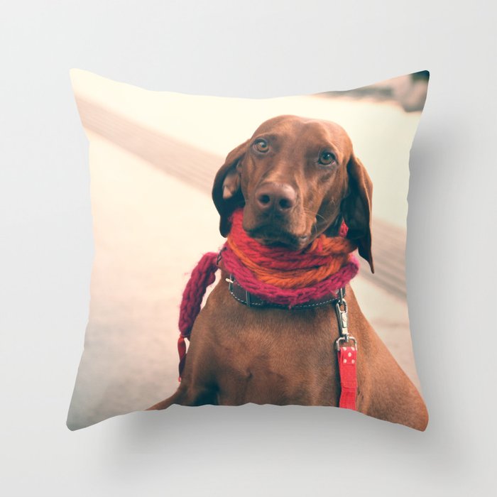 DOG IN SCARF Throw Pillow