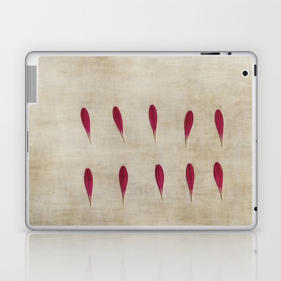 Ten Laptop & iPad Skin