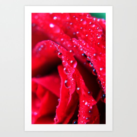 red roses Art Print