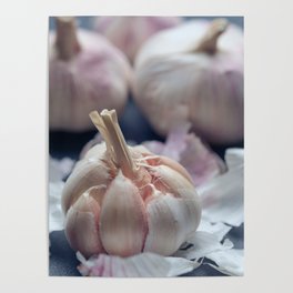 Peeling garlic bulb Poster