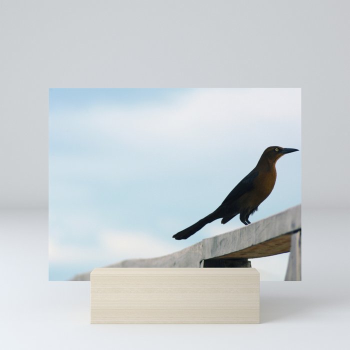 Bird collection _ 01 Mini Art Print