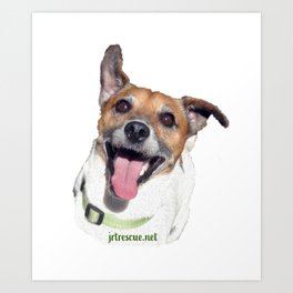 Mr Sam Art Print | Jackrussell, Jrr, Dog, Jack, Jackrussellterrier, Jackrussellrescue, Sam, Rescue, Adopted, Graphicdesign 
