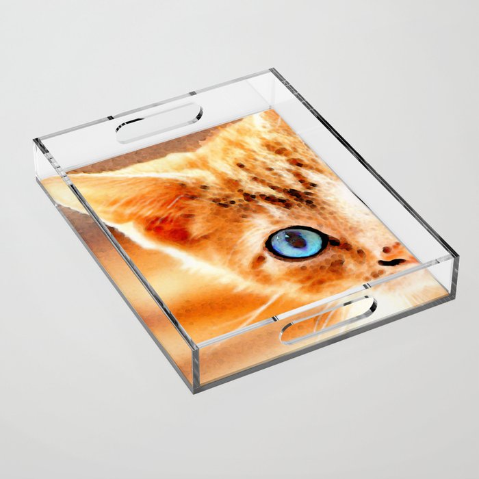 Peek A Boo Orange Tabby Cat With Blue Eyes Acrylic Tray