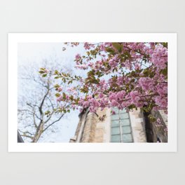 Blossom time at Eglise Saint-Pholien, Liége | Spring in the city | Blossoms in front of a building Art Print