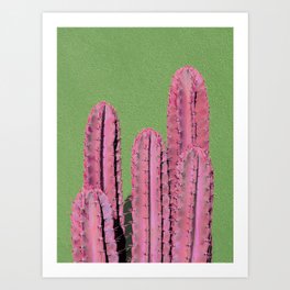 Pink Cactus on Green Art Print