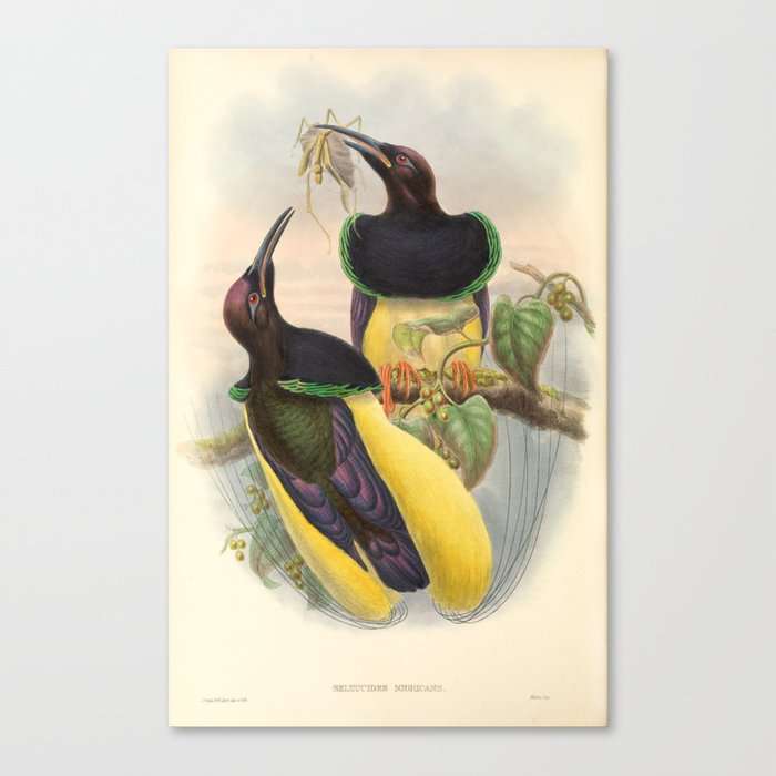 Canvas Print