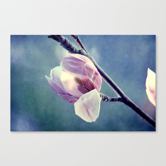 Spring colour Canvas Print