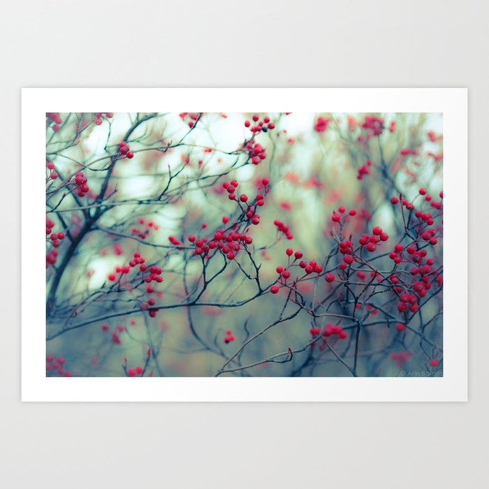 Winter Berries Art Print