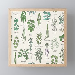 Herbs Collection Pattern Framed Mini Art Print