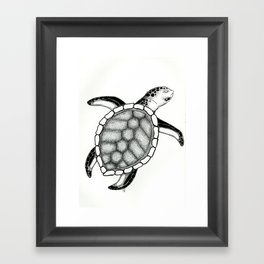 Turtle Framed Art Print