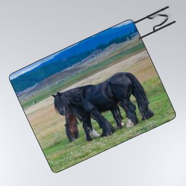 Gypsy Vanner Horses 0258 - Colorado Picnic Blanket