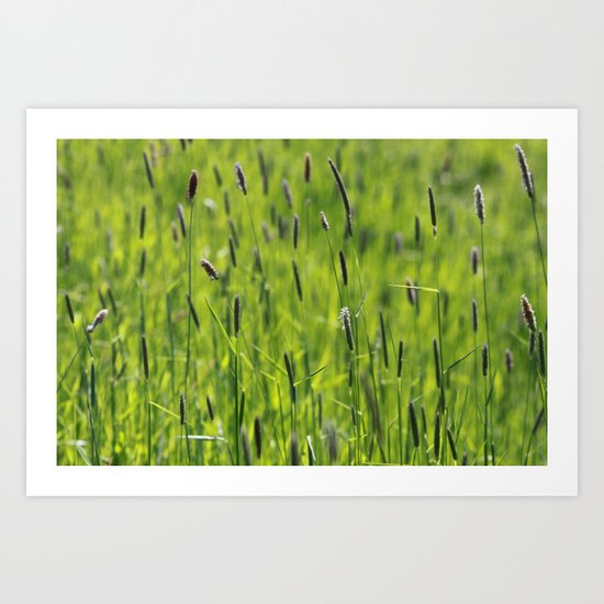 Grasses - JUSTART © Art Print