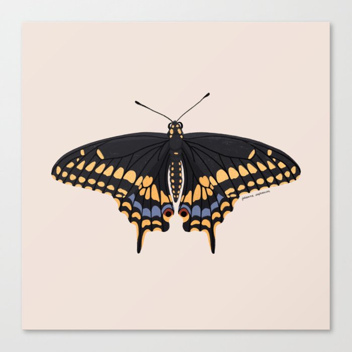Black Swallowtail Butterfly Canvas Print