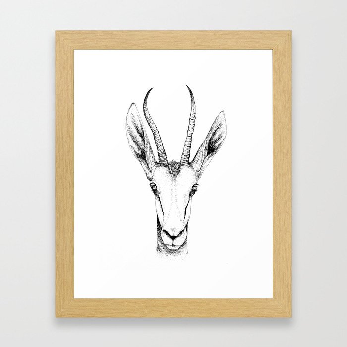 Springbok Framed Art Print