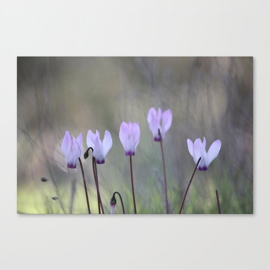 Stranger Among Us Canvas Print