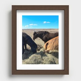 Icelandic Horses Recessed Framed Print