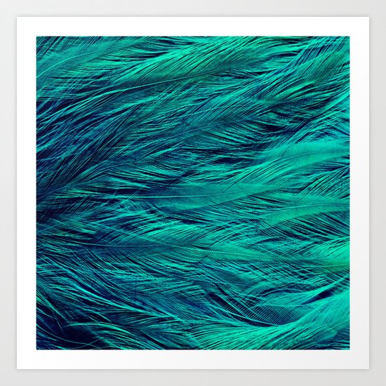 Teal Feathers Art Print