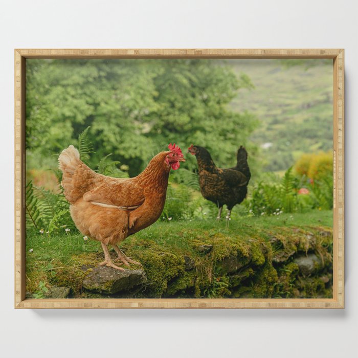 Rooster Morning in Ireland Serving Tray