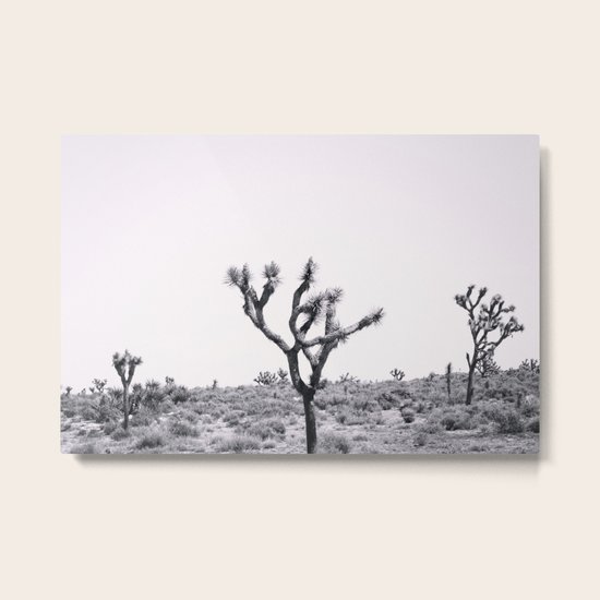 Joshua Tree Monochrome No 2 Metal Print By Annbphoto Society6