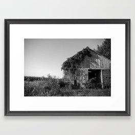 Abandoned Barn Garden (Black & White Photography) Framed Art Print