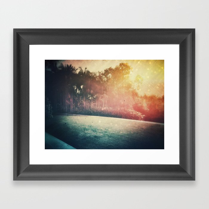 Sun Drenched Palms  Framed Art Print