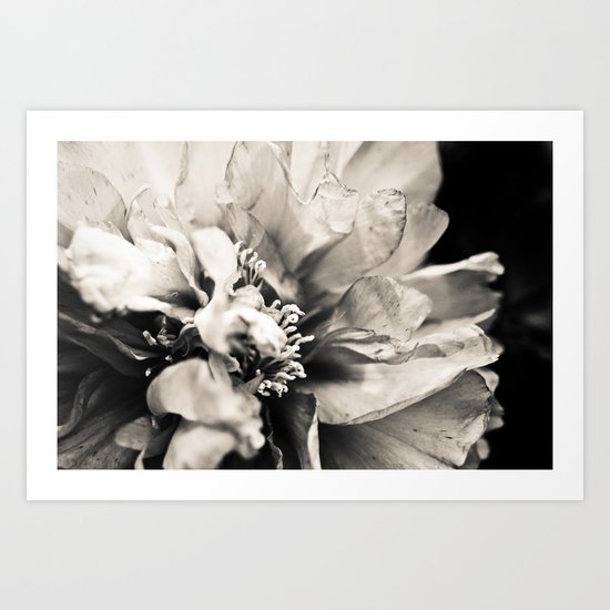 Big Bang Theory Art Print