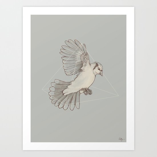 Dynamics of Flight Art Print