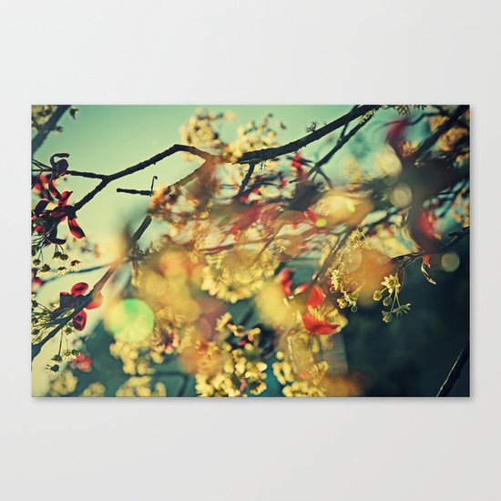 Welcome Spring | 01 Canvas Print