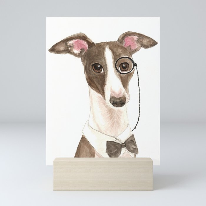 Italian greyhound for sale trading post sales