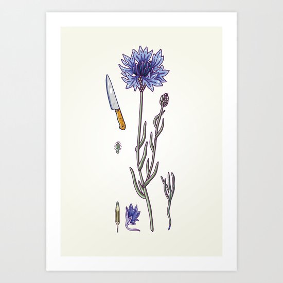 blue cornflower and knife Art Print