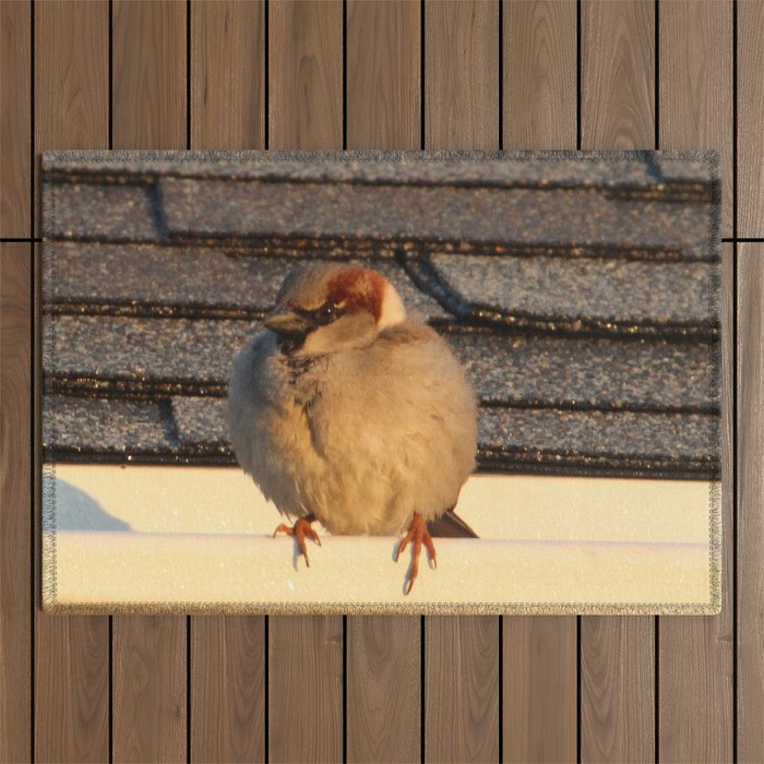 Bird on the Roof Outdoor Rug