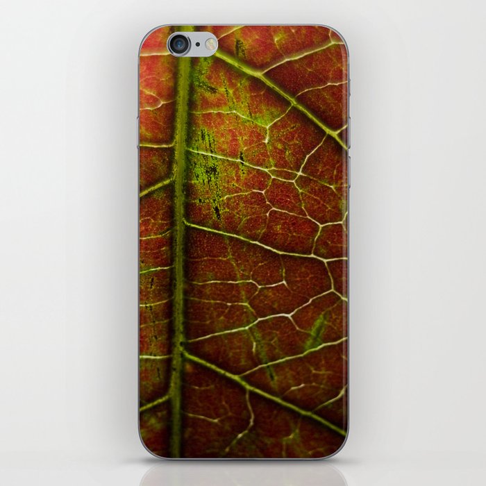 Autumn texture iPhone Skin