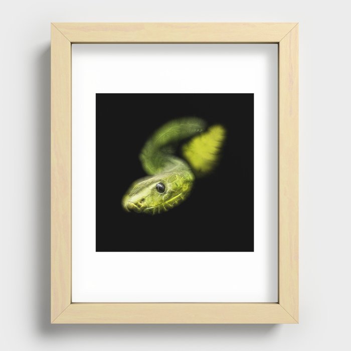 Spiked Green Snake Recessed Framed Print