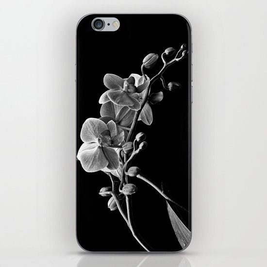 Dendrobium iPhone & iPod Skin