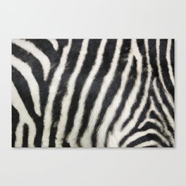 Zebra print Canvas Print