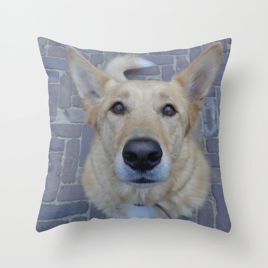 Treat? Throw Pillow