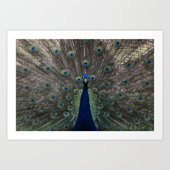 Show off Art Print