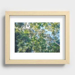 Valley of the Giants Forest, Fraser Island Australia Recessed Framed Print