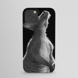 Wallaby iPhone Case