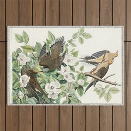 Carolina Pigeon from Birds of America (1827) by John James Audubon Outdoor Rug