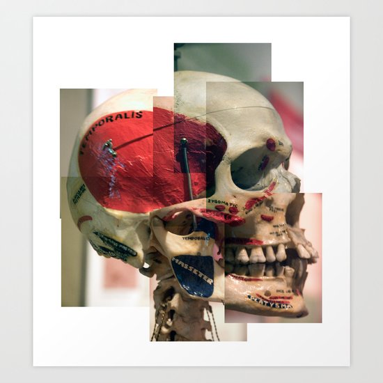 Anatomy Lesson Art Print